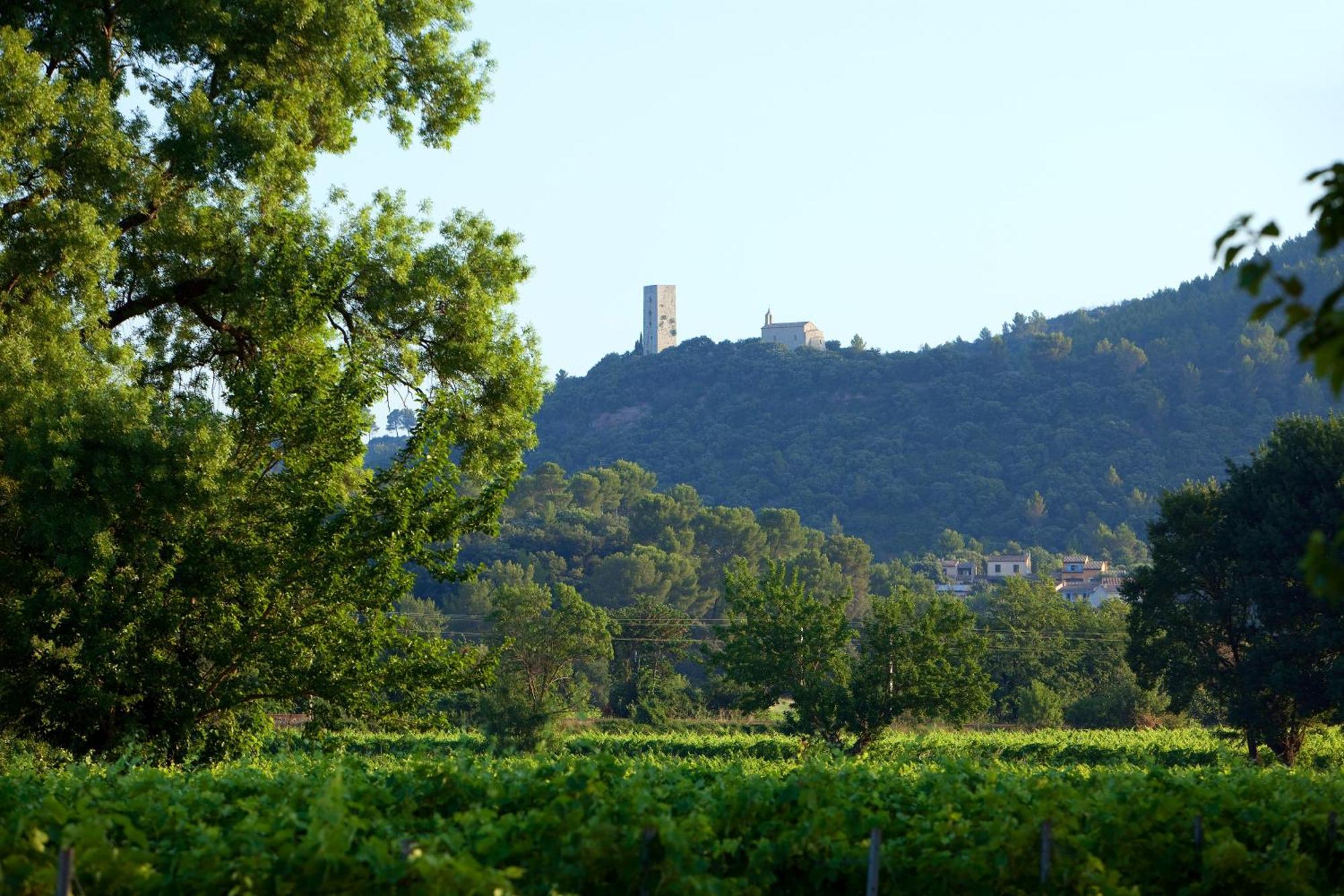 Chateau De Saint Martin Taradeau Eksteriør bilde